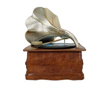 Load image into Gallery viewer, Vendula Vintage Rose Gramophone Case Bag