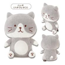 Load image into Gallery viewer, Hapins Plush Toy Ragdoll Cat