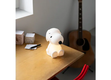 Load image into Gallery viewer, Peanuts First Light Snoopy 22cm