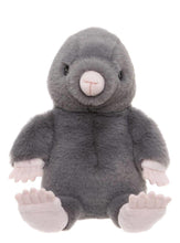 Load image into Gallery viewer, Bear & Me By Charlie Bears Mula Mole Stone Grey 25cm