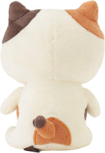 Load image into Gallery viewer, Hapins Plush Toy Calio Cat