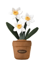 Load image into Gallery viewer, PlushWoods Daffodil Plant Plush With Pot 25cm