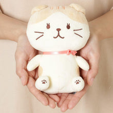 Load image into Gallery viewer, Hapins Plush Toy Scottish Fold