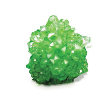 Load image into Gallery viewer, Discovery Zone Crystal Growing Kit