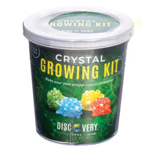 Load image into Gallery viewer, Discovery Zone Crystal Growing Kit