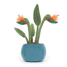 Load image into Gallery viewer, Jellycat Amuseable Bird of Paradise 38cm