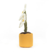 Load image into Gallery viewer, Jellycat Amuseable Daisy 34cm