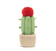 Load image into Gallery viewer, Jellycat Amuseable Moon Cactus 21cm