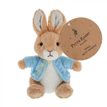 Load image into Gallery viewer, Peter Rabbot Classic Soft Toy - Small
