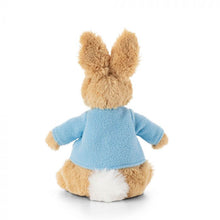 Load image into Gallery viewer, Peter Rabbot Soft Toy - Small
