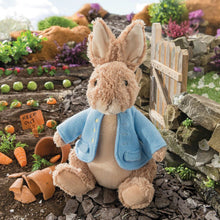 Load image into Gallery viewer, Peter Rabbit Soft Toy 28cm