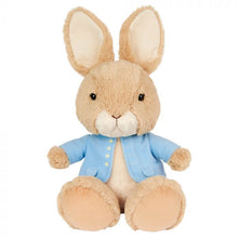 Load image into Gallery viewer, Peter Rabbit Silly Pawz
