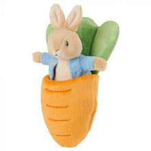 Load image into Gallery viewer, Peter Rabbit Mini Plush & Carrot
