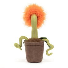 Load image into Gallery viewer, Jellycat Carniflore Tammie 27cm