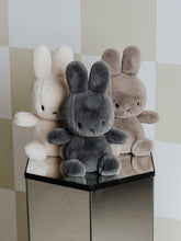 Load image into Gallery viewer, Miffy & Friends Cozy Miffy in Giftbox Taupe 23cm