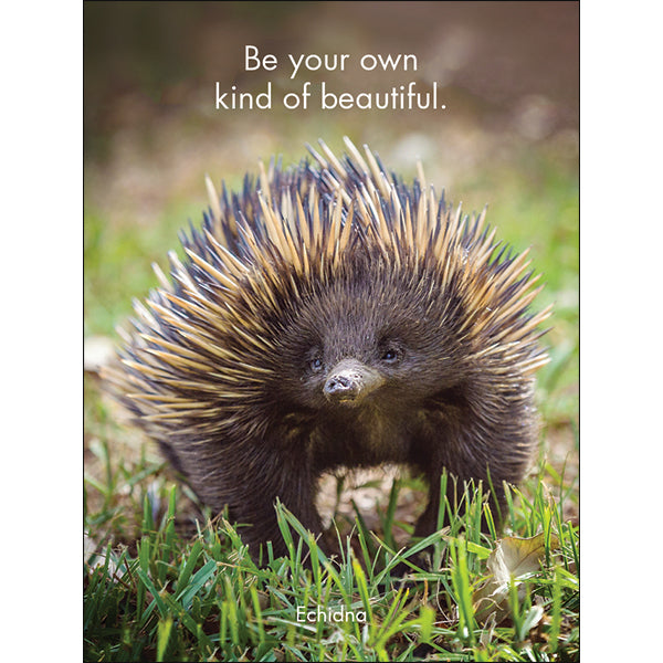 Affirmations - 24 Affirmations Cards - Awesome Aussies - DAA