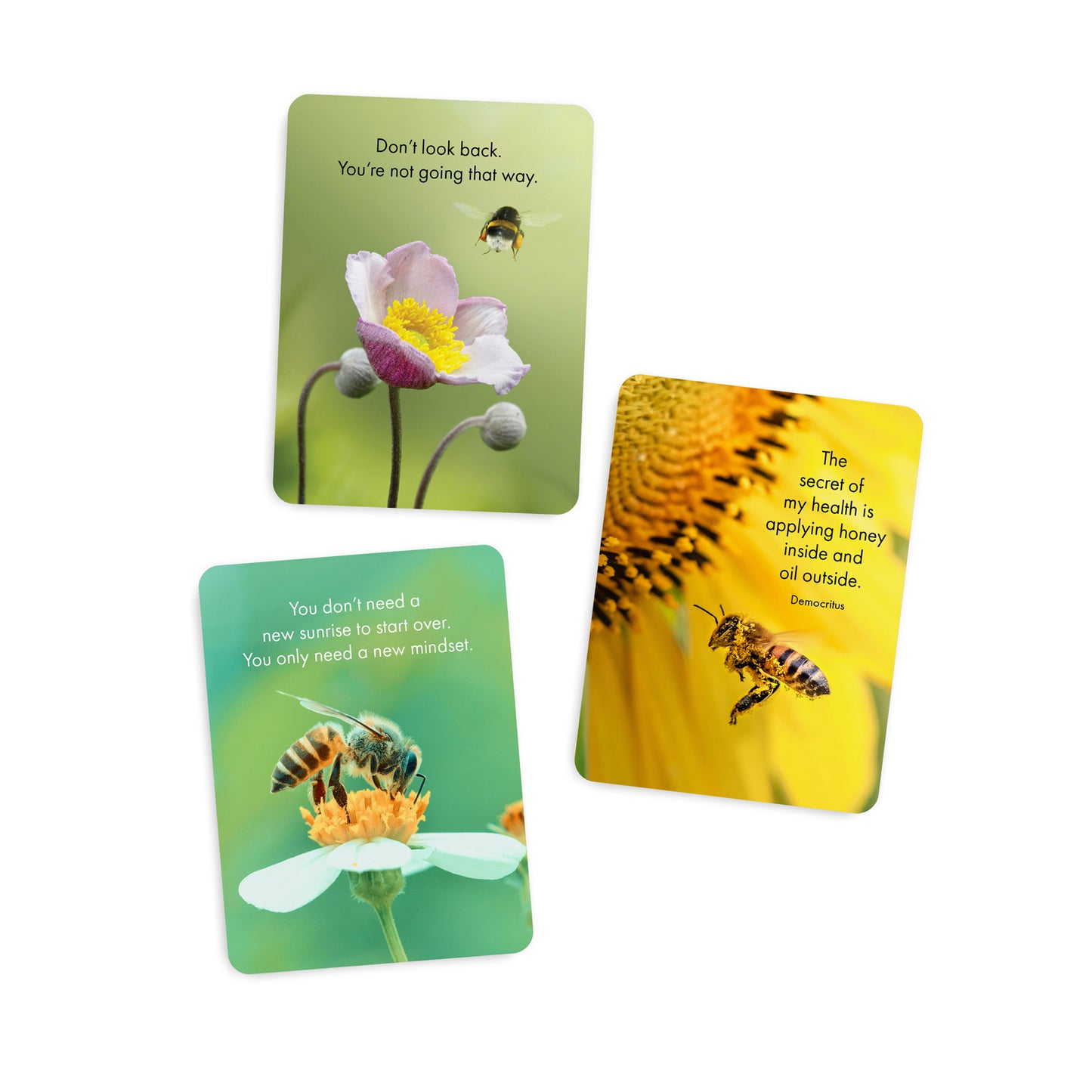 Affirmations 24 Cards - Bee Happy - DBH