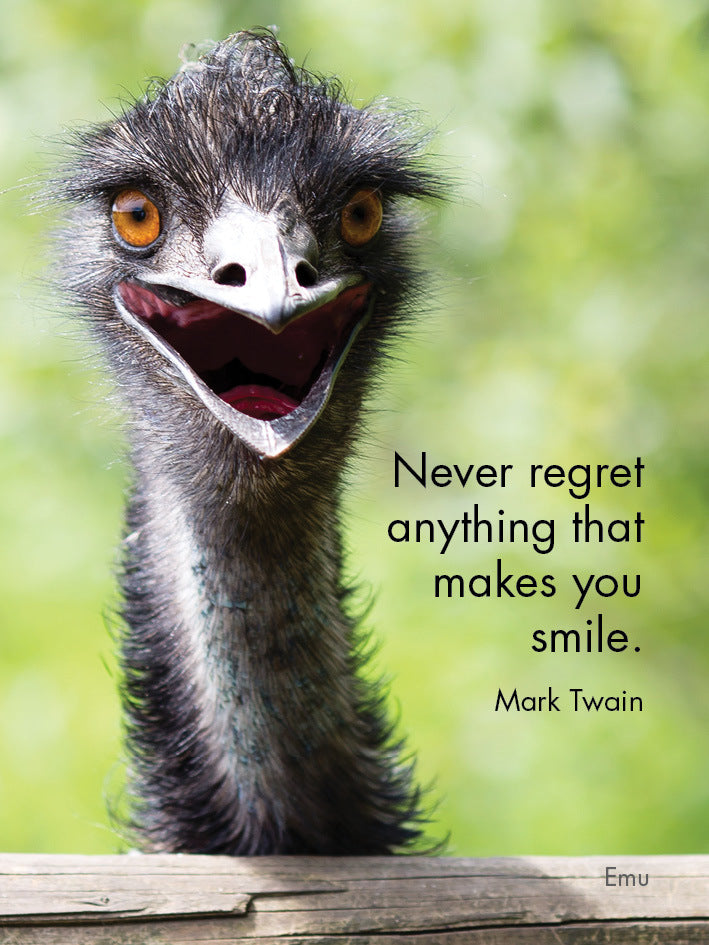 Affirmations - 24 Animal Cards - Dinkum Originals - DFD