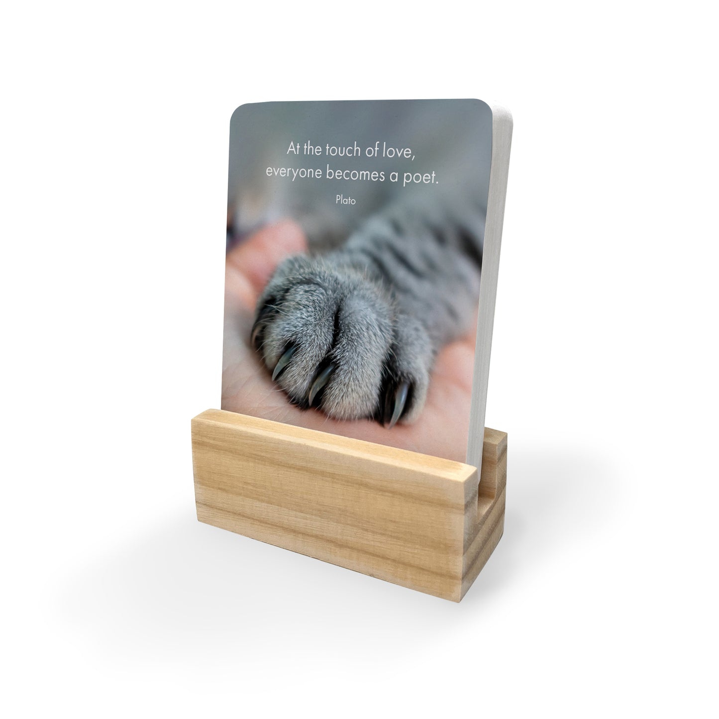 Affirmations - DGC - The Great Catsby - 24 Animal affirmation cards + stand