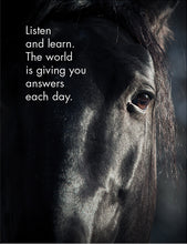 Load image into Gallery viewer, Affirmations - 24 Animal Cards - Horse Sense - DHO