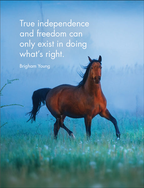Affirmations - 24 Animal Cards - Horse Sense - DHO