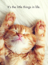 Load image into Gallery viewer, Affirmations 24 Cards - Kitten Tales - DKT