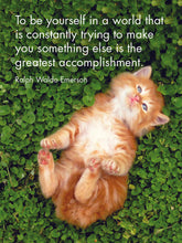 Load image into Gallery viewer, Affirmations 24 Cards - Kitten Tales - DKT
