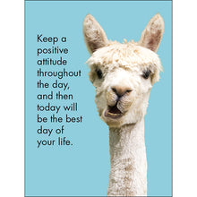 Load image into Gallery viewer, Affirmation 24 Cards - Llama Nirvana - DLN
