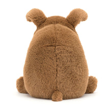 Load image into Gallery viewer, Jellycat Derreck Grumpy Dog 23cm