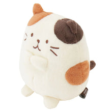 Load image into Gallery viewer, Hapins Kitten Medium Calio Cat