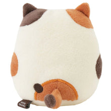 Load image into Gallery viewer, Hapins Kitten Medium Calio Cat