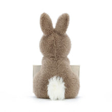 Load image into Gallery viewer, Jellycat Messenger Bunny 19cm