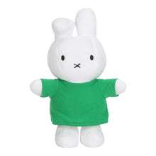 Load image into Gallery viewer, Miffy TV Series Dan Soft Toy 25cm