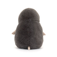 Load image into Gallery viewer, Jellycat Muswell Mole 15cm