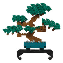 Load image into Gallery viewer, MININANO Pine Bonsai