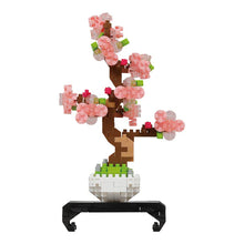 Load image into Gallery viewer, MININANO-Sakura Bonsai