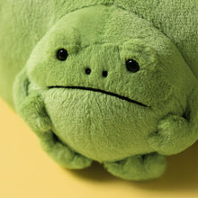 Load image into Gallery viewer, Jellycat Pouch Ricky Rain Frog 19cm