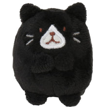 Load image into Gallery viewer, Hapins Kitten Small Tuxedo Cat