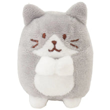 Load image into Gallery viewer, Hapins Kitten Small Ragdoll Cat