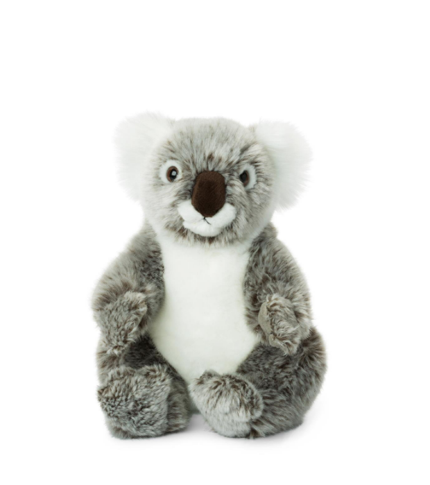 WWF Koala - 22 cm - 8.5"