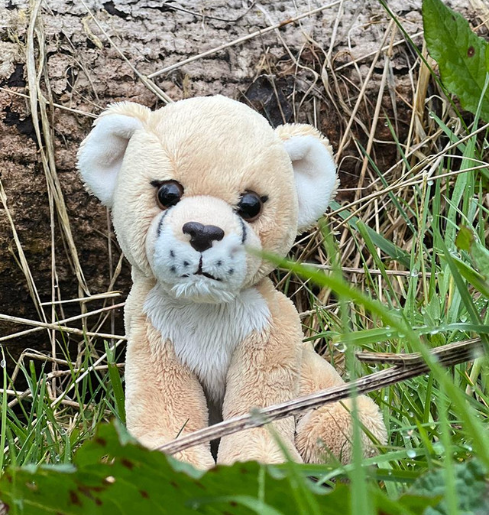 Cuddle Cubs by Charlie Bears Lioness