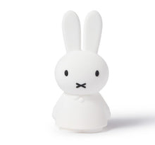 Load image into Gallery viewer, Miffy & Friends Shines Light Miffy 22cm