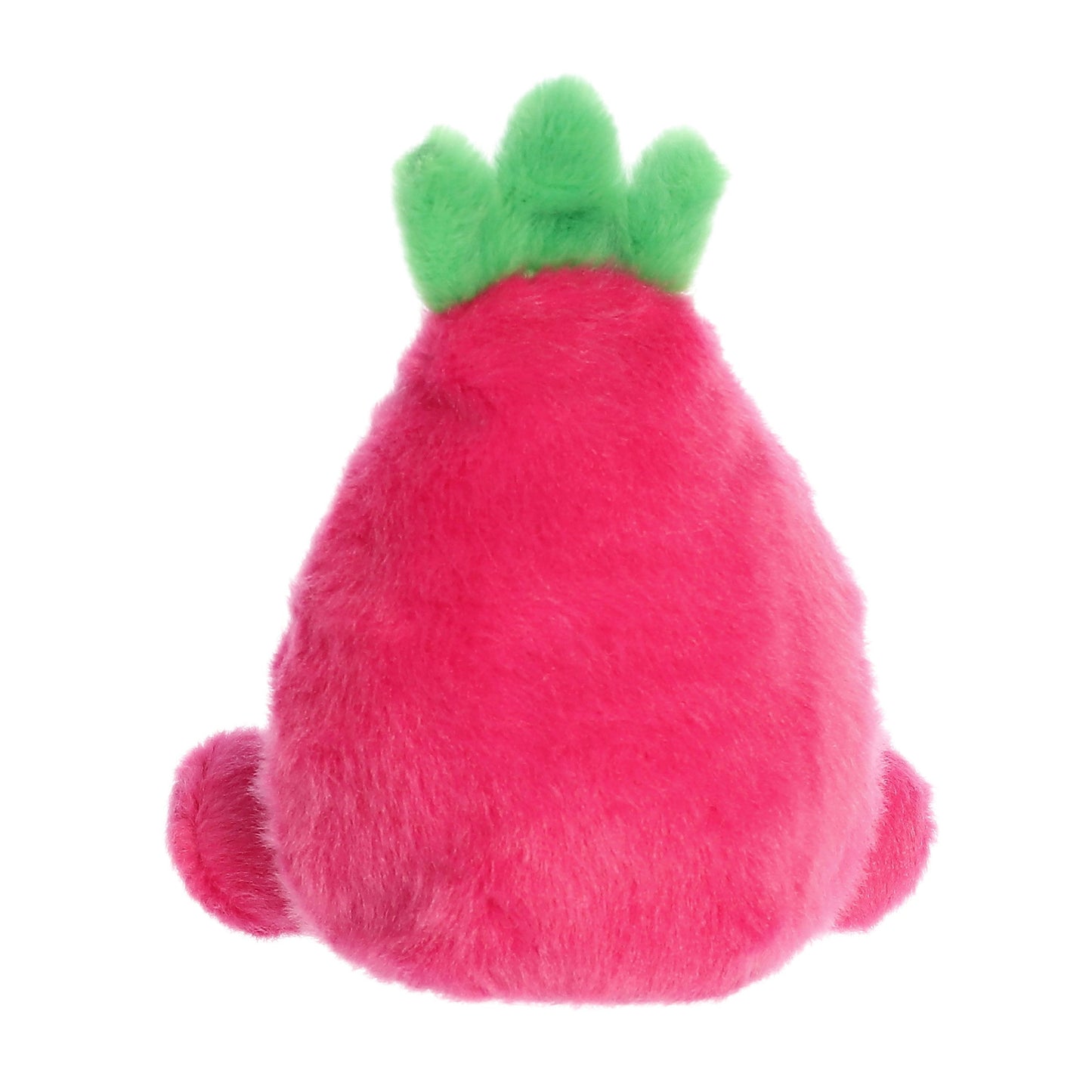 Palm Pal Dragonfruit 13cm