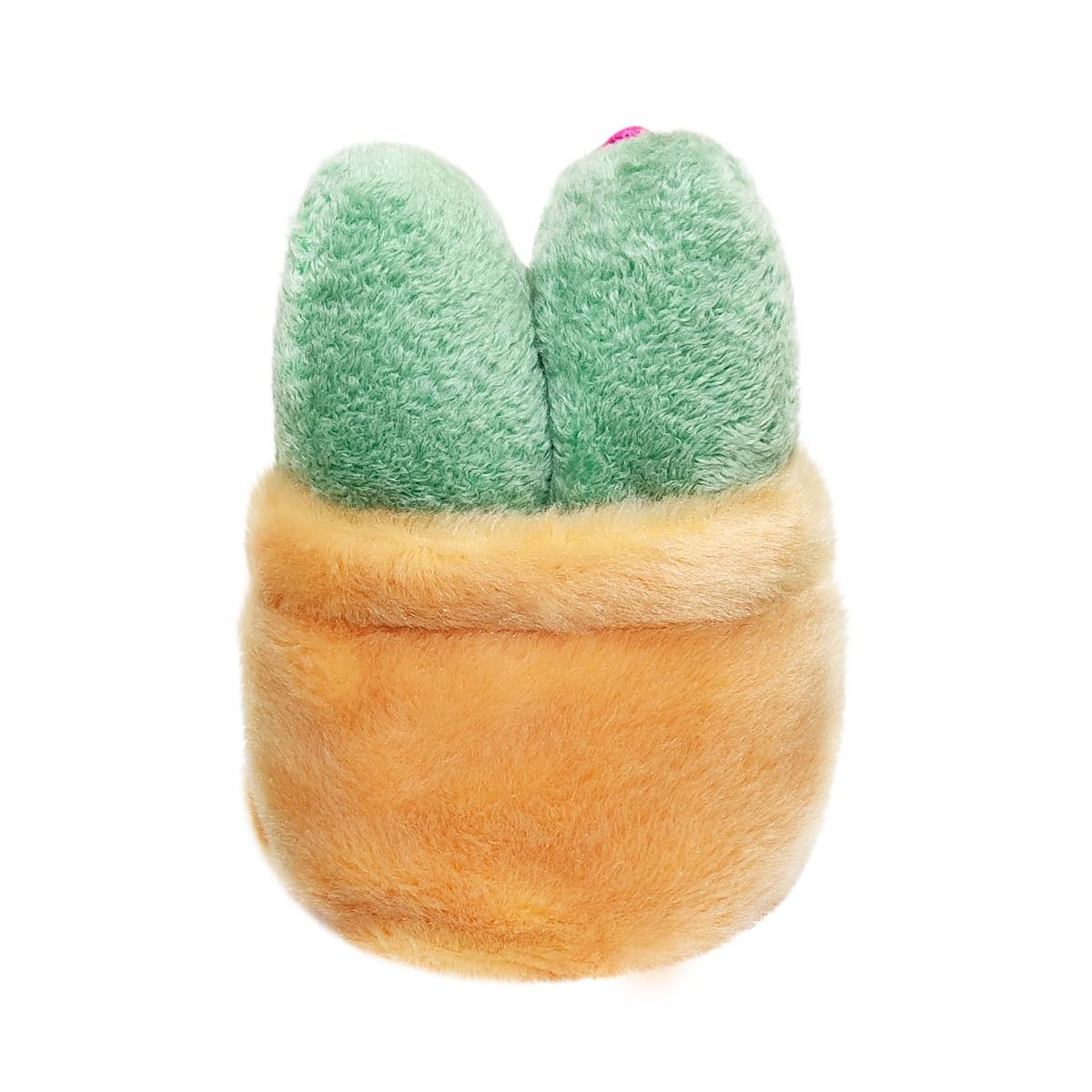 Palm Pal Seyla Scculent 13cm