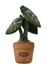 Load image into Gallery viewer, PlushWoods Alocasia Frydek Plant Plush With Pot 25cm