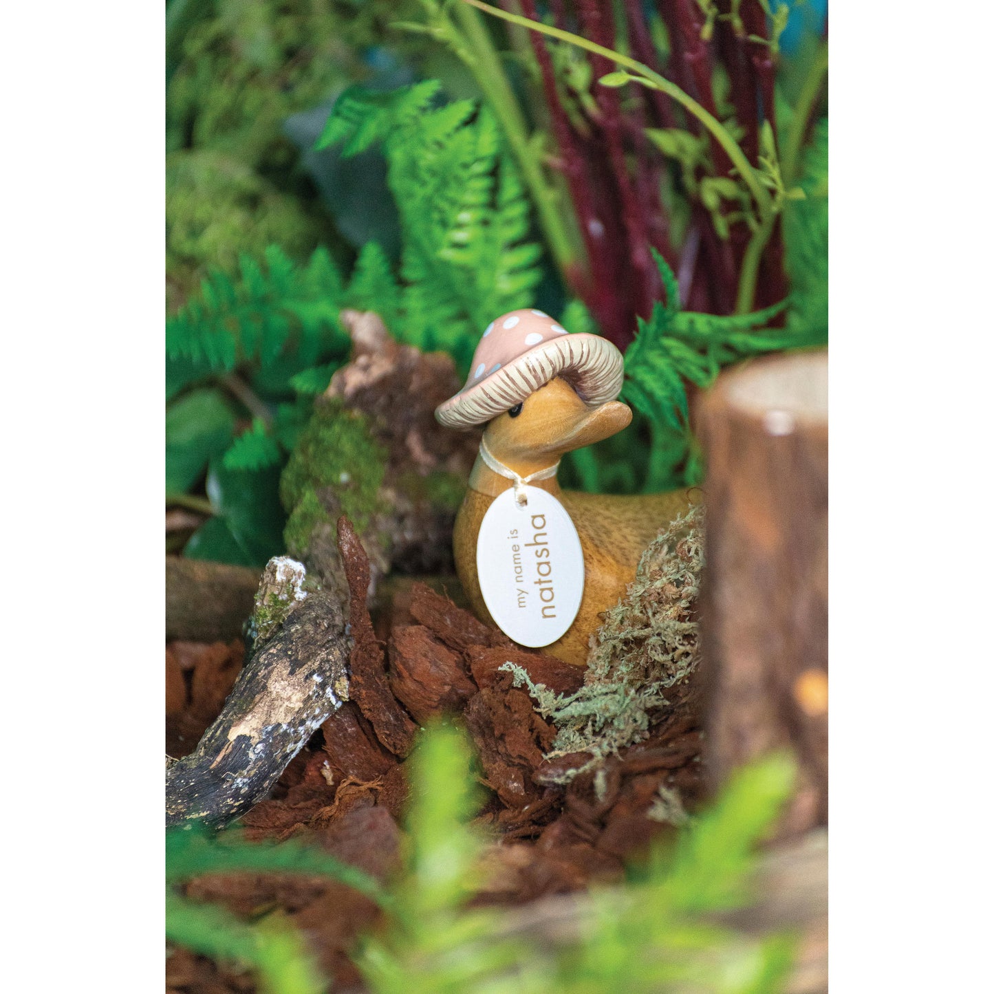 DCUK Toadstool Folk Duckys Assorted (1 pcs)
