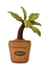 Load image into Gallery viewer, PlushWoods Coconut Tree Plant Plush With Pot 25cm