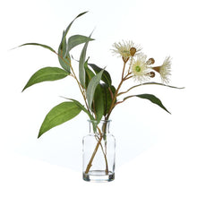 Load image into Gallery viewer, Rogue Eucalyptus Wattle Mix-Specimen Bottle 23x26x33cm