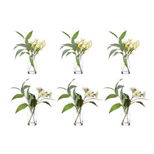 Load image into Gallery viewer, Rogue Eucalyptus Wattle Mix-Specimen Bottle 23x26x33cm