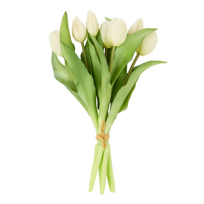 Rogue Tulip Bunch White 20x20x30cm